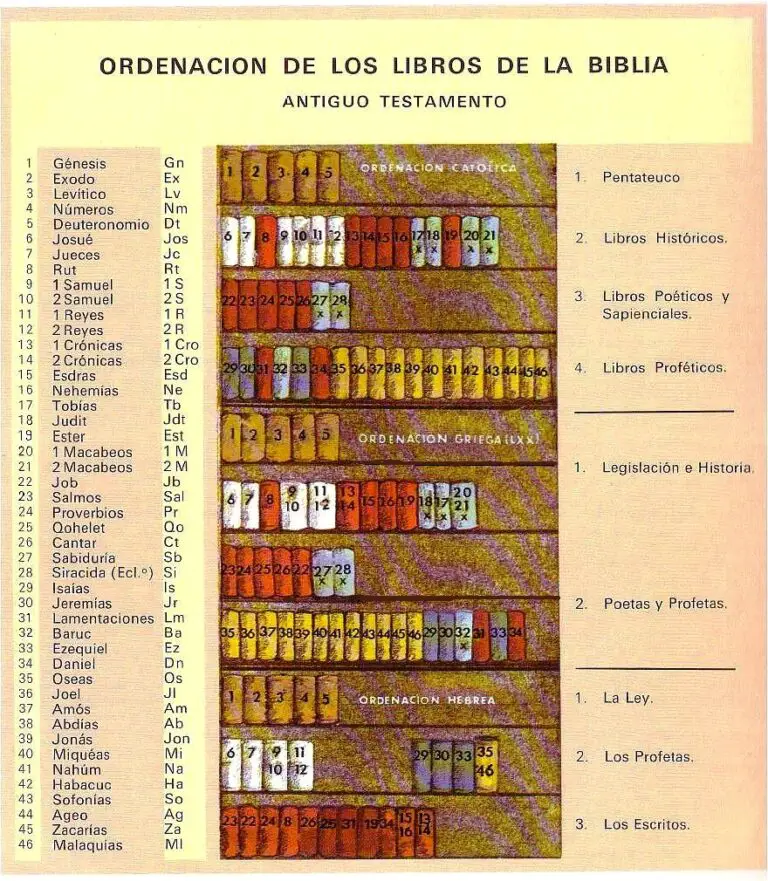 ¿Cómo Se Divide La Biblia Para Su Estudio Y Mejor Comprensión?