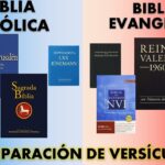 ¿Qué es la Biblia y los evangélicos?